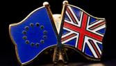 Brexit flag pins